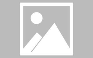昭通绥化网站搭建公司有哪些（信息网绥化）